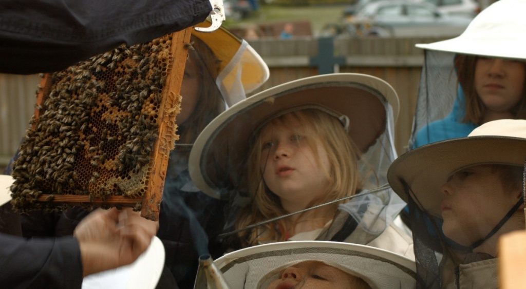 кадр из фильма Охотники за медом
