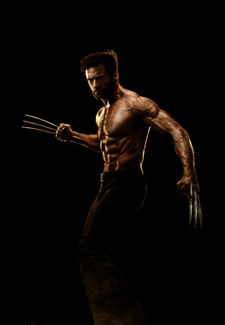    "" / "The Wolverine"