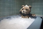 У медведя Теда появился защитник