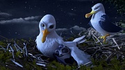 кадр из фильма Птичий дозор