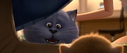 кадр из фильма Большой кошачий побег