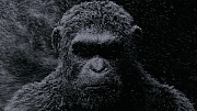 кадр из фильма Планета обезьян: Война